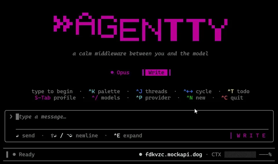 1ay1/agentty — Project demo